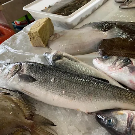 West Coast Dream Σπίτι διακοπών